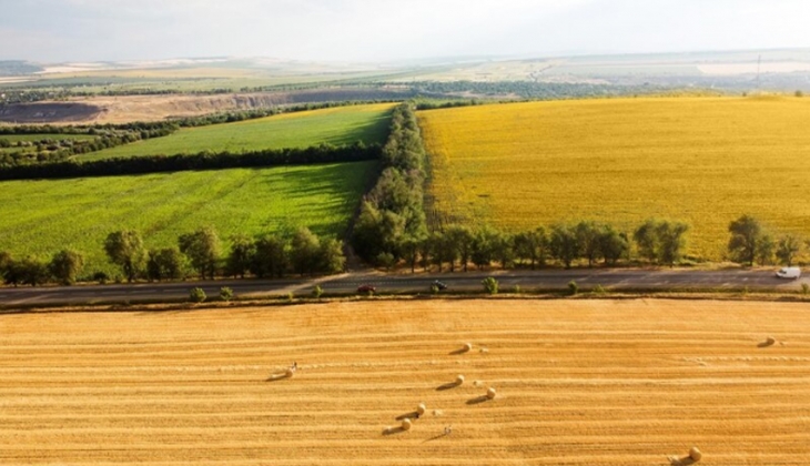 İki ilde arazi ve iş yerleri satışa çıktı! Açıklanan bedeller asgari ücretin altında kaldı!