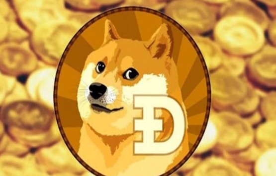 Dogecoin'in geliştiricilerinden Sporklin hayatını kaybetti!