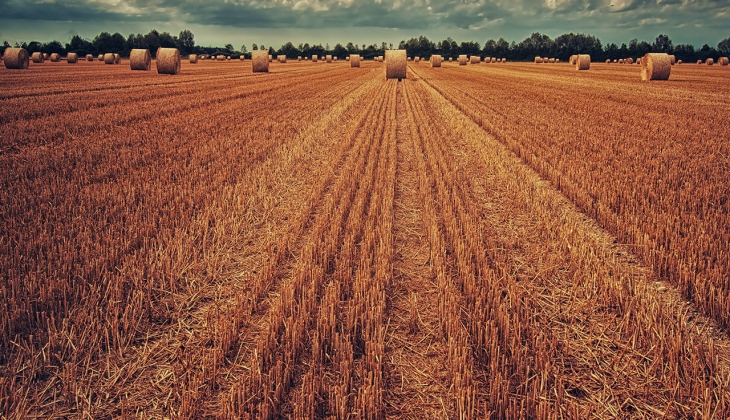 Ukrayna limanlarından 1 milyon tonu aşkın tahıl taşındı! Buğday fiyatlarında son durum ne? 28 Ağustos 2022 fiyat listesi