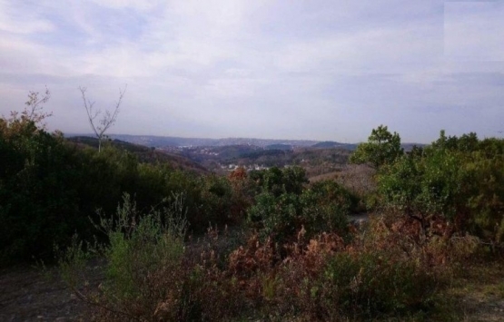 Beykoz’a yapılacak 553 villa için ağaç kesme izni istendi!