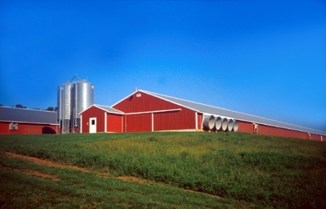 Selami Parlak Broiler Üretim Çiftliği'nin temeli atıldı!