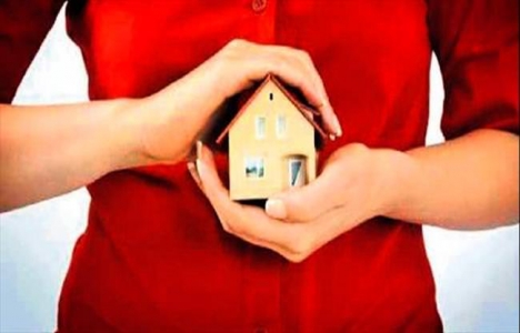 Dişi kuş yuvasına sahip çıktı!