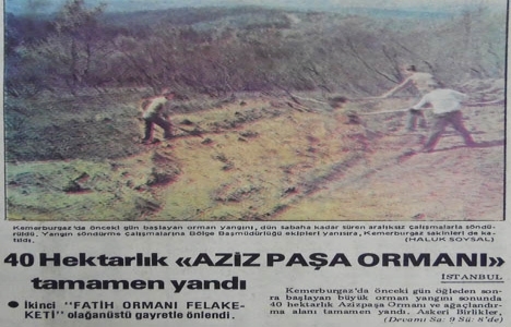 1980 yılında Azizpaşa Ormanı tamamen yanmış!