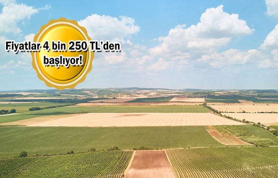 Şile Belediyesi'nden büyük fırsat! 60 adet arsa satıyor!