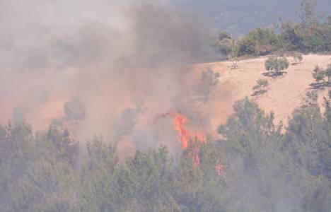 Osmaniye Dervişiye köyünde orman yangını çıktı!