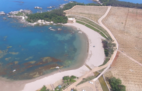 Kocaeli Miço Koyu baştan aşağı yenilendi!