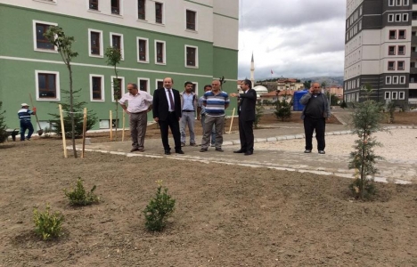 Zile 2. Etap TOKİ'de altyapı ve peyzaj çalışmaları başladı!