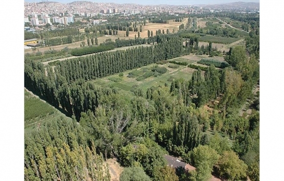 AOÇ ihalelerine katılacaklardan imza sirküleri yerine sicil tasdiknamesi istenecek!