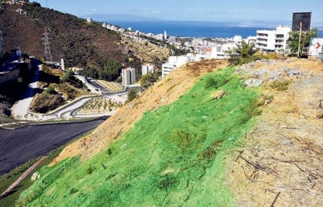 Narlıdere'de rekreasyon alanında boyama tartışması!