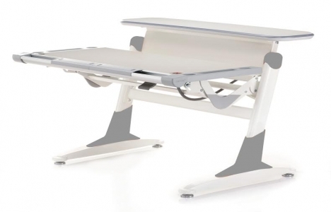 Çilek Ergo Çalışma Grubu yanlış oturmaya son veriyor!