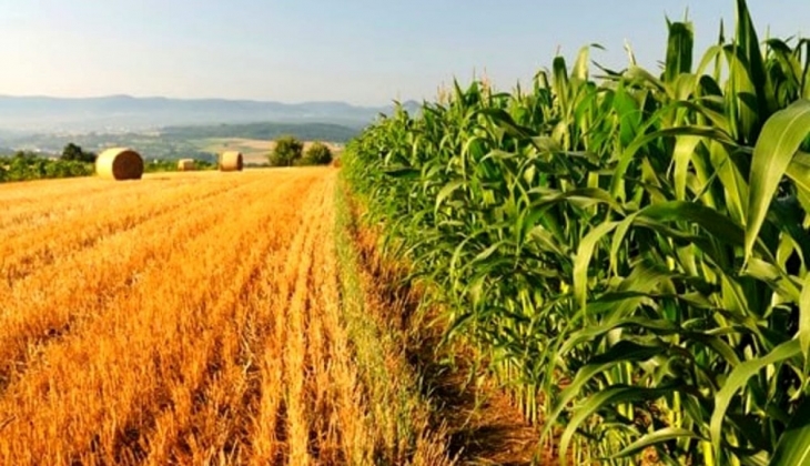 El Nino Tarım Üretimini Tehdit Ediyor! Türkiye ye Ne Zaman Ulaşacak?