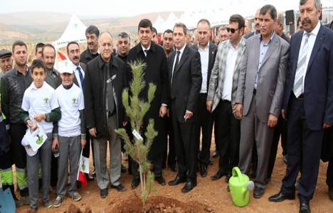 Gaziantep Şehitkamil'de 10 bin fidan dikildi!