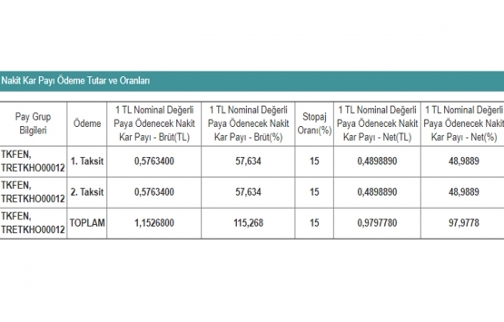 Tekfen Holding A.Ş kar payı dağıtacak mı?