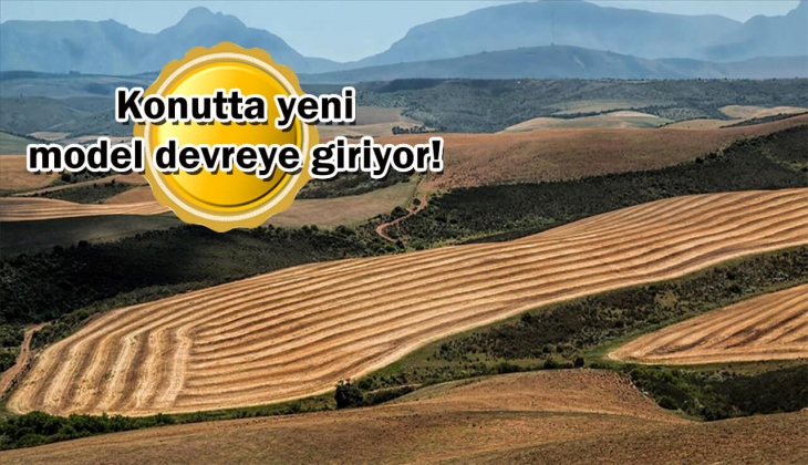 Hazine arazisine ev modeli sektörü umutlandırdı! Maliyetler yarı yarıya düşecek!