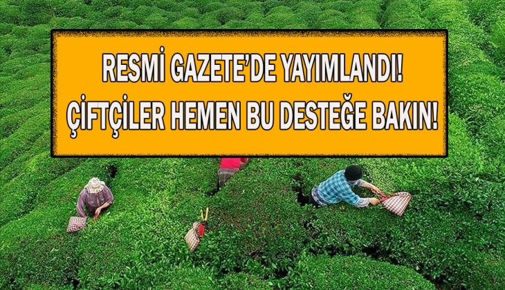 Çiftçiler dikkat! Fark ödemesi desteği resmen açıklandı! Hemen şartlara bakın!