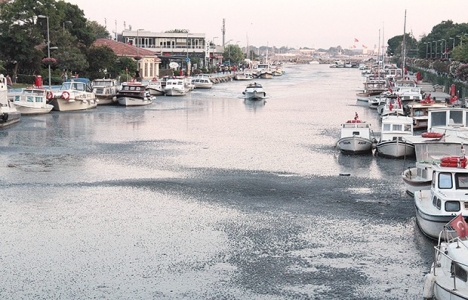 kurbağalıdere temizlik