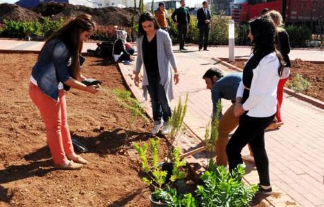 Hakkari Üniversitesi Kampüsü yeşillendiriliyor!