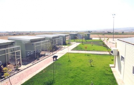 Tekirdağ Ergene Hayvan Bakımevi 15 gün içinde açılacak!