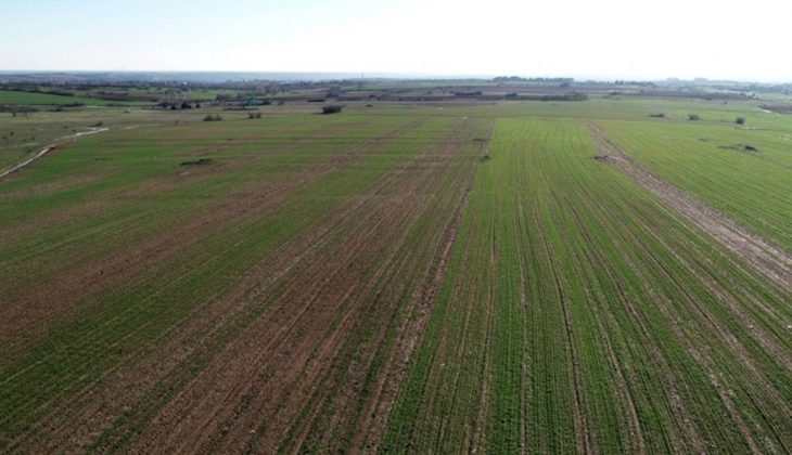 Arazi toplulaştırma ve sınır belirleme kararları Resmi Gazete de yayımlandı!