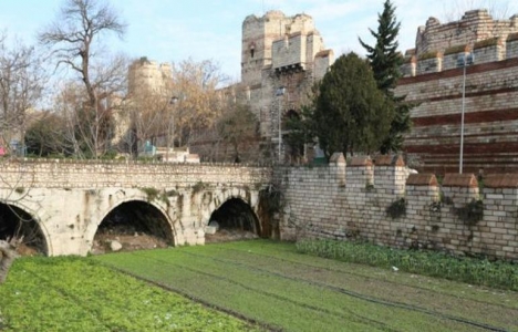 Yedikule deki bostanlar için uzmanlar uyarıyor!
