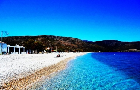 Şener Şen emlak zengini çıktı!