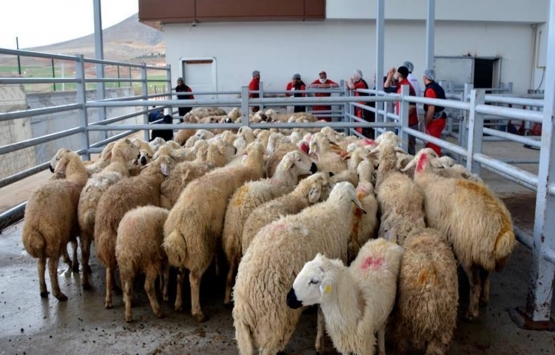 Kurban Bayramı yasakları açıklandı!