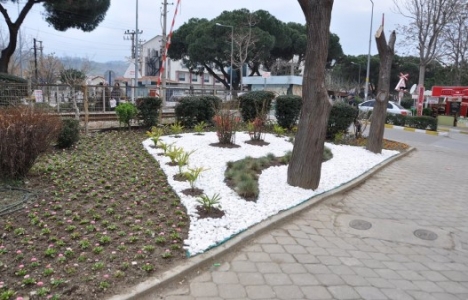 Manisa Salihli'de peyzaj çalışmaları tam gaz!