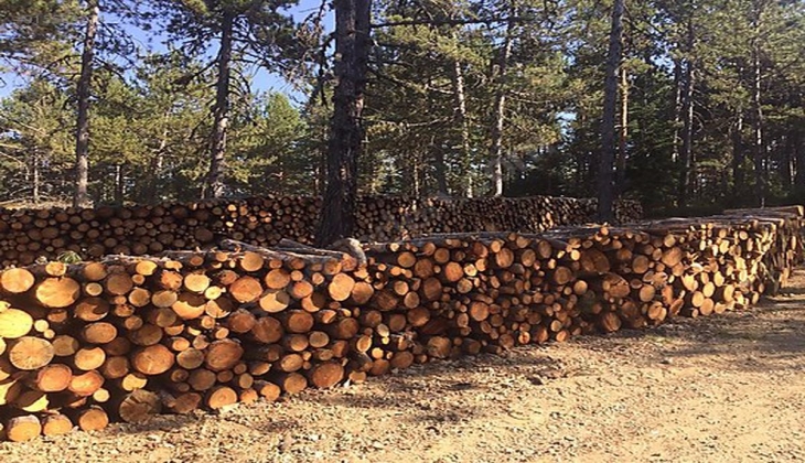 Enerji krizi en çok onlara yaradı!