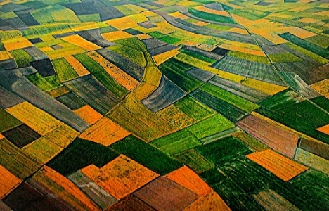 Antalya Serik'te 165.1 milyon TL'ye satılık 3 tarla!