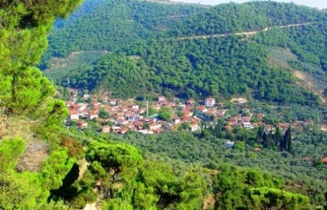 İdris Güllüce: Kırsal dönüşümü de önemsiyoruz!