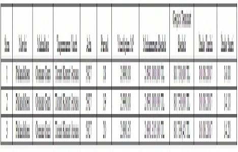 Palandöken de 8 milyon TL ye 3 arsa satılıyor!