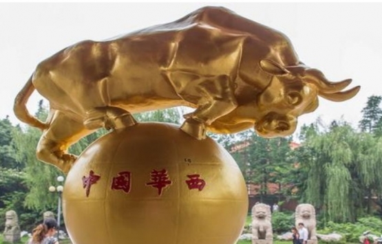 Çinliler dünyanın en zengin köyünü kurdu! Herkese villa veriliyor!