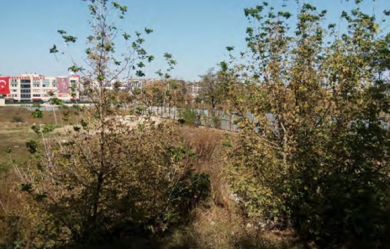 Küçükçalık Gayrimenkul Kurtköy de 162 odalı otel yapacak!