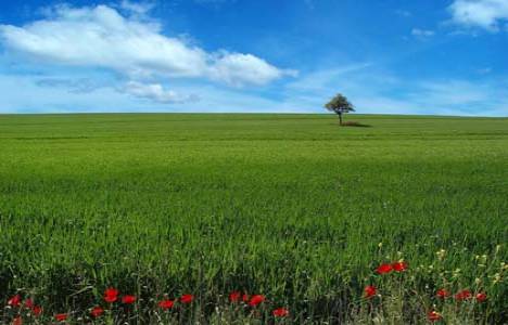 arazi hisse satışı