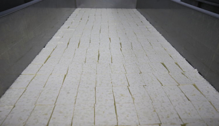 Kırklareli peynirinin şöhreti ve lezzeti ülke sınırlarını aştı!