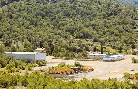 Akkuyu Nükleer Santrali zeytinlik ve kıyı kanununa takıldı!