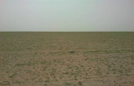 Toprak Koruma ve Arazi Kullanımı Kanununda Değişiklik Yapılması Kanunu!