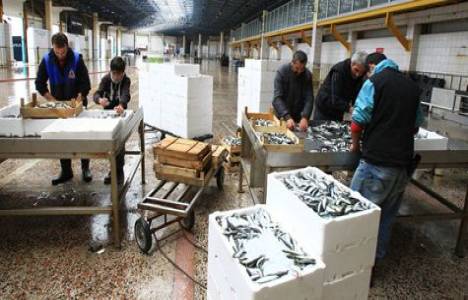 Yalova balık haline onay verildi!