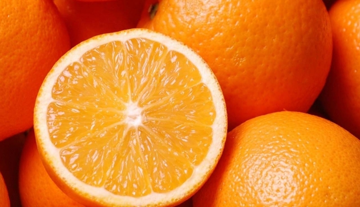 Narenciye yatırımcıları dikkat! 1.935.000 kilo valencia portakalı satılıyor! 21 Şubat’taki ihaleyi kaçırmayın!