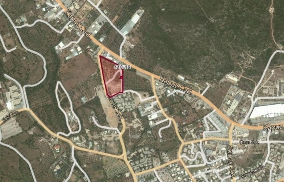 Bodrum'da 14.5 milyon TL'ye icradan satılık incir bahçesi!