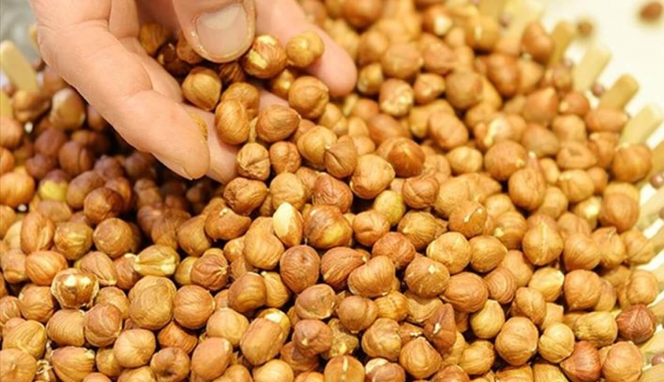 Fındık fiyatlarında rekor artış! Üreticinin ağzı kulaklarında! Fındık fiyatlarına bakan bir daha bakıyor