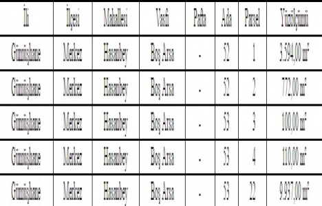 Gümüşhane de 29 milyon TL ye AVM yapılacak!