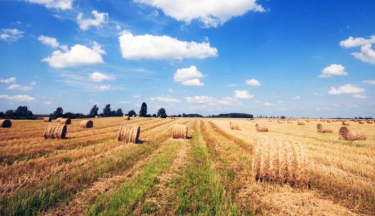 Ankara ve Balıkesir’de belediyeler toplam 14 daire ve arazi satıyor!