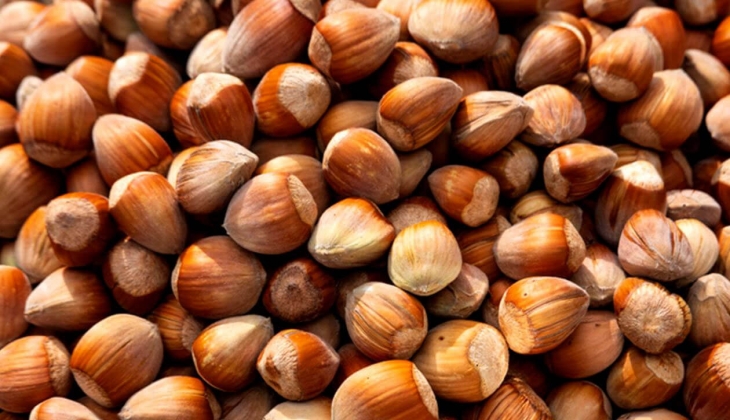 Çiftçiler dikkat! İl il fındık fiyatları açıklandı! 24 Mart 2023 fiyat listesi