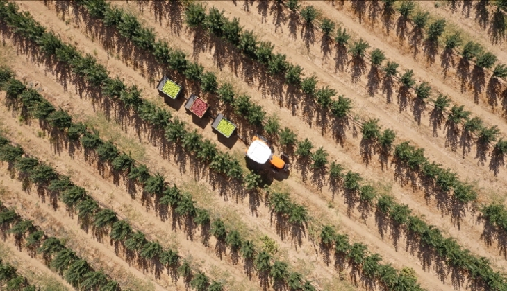 Bakan Yumaklı'dan çiftçilere müjde: 1 milyar 167 milyon lira destek ödemesi hesaplara aktarılıyor!