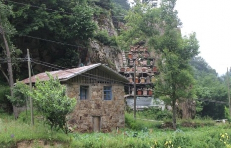 Rize İkizdere'ye Arap yatırımcı ilgisi arttı!