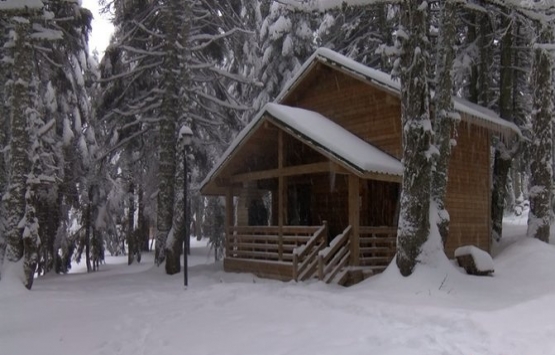 Uludağ daki orman köşklerine büyük ilgi!