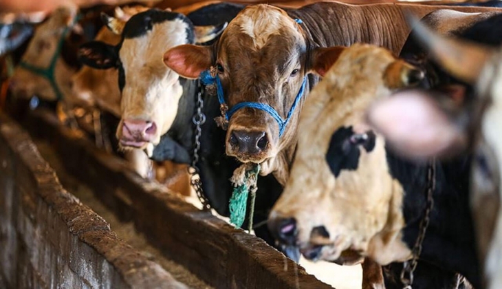 Kurban Bayramı'nda bunu yapanlar yandı! Cezalar şimdiden belli oldu!