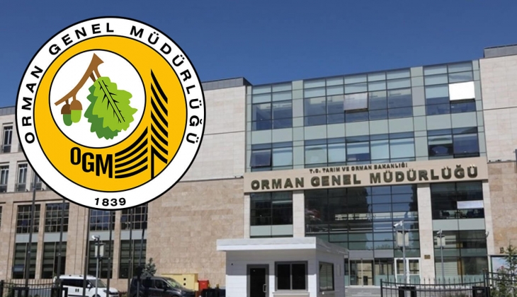 İş arayanlar dikkat! Orman Genel Müdürlüğü çok sayıda işçi alıyor! Son başvuru 6 Ocak 2023!