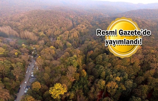 Ormana bitişik parselde yapı inşa edilemeyecek!